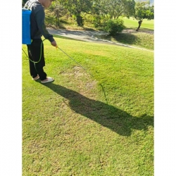 Demonstration of the Fer