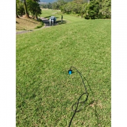 Demonstration of the Fer