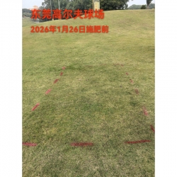 Demonstration of the Fer