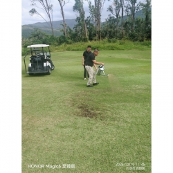 Demonstration of the Fer